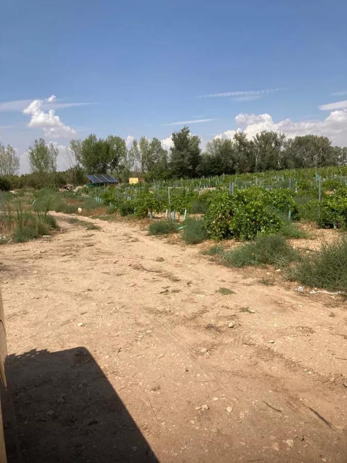Venta de Finca Rustica