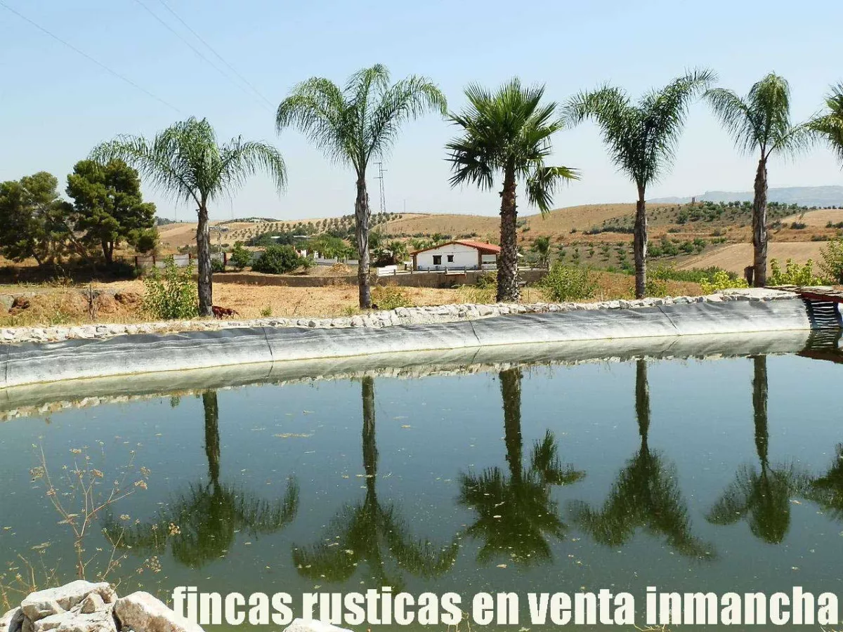 finca en venta inmancha 6 has. para caballos 