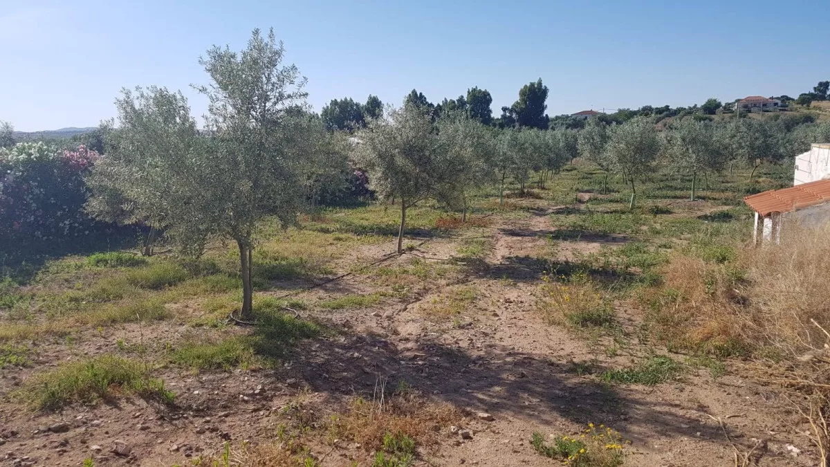 Finca rústica en venta en camino de San Isidr