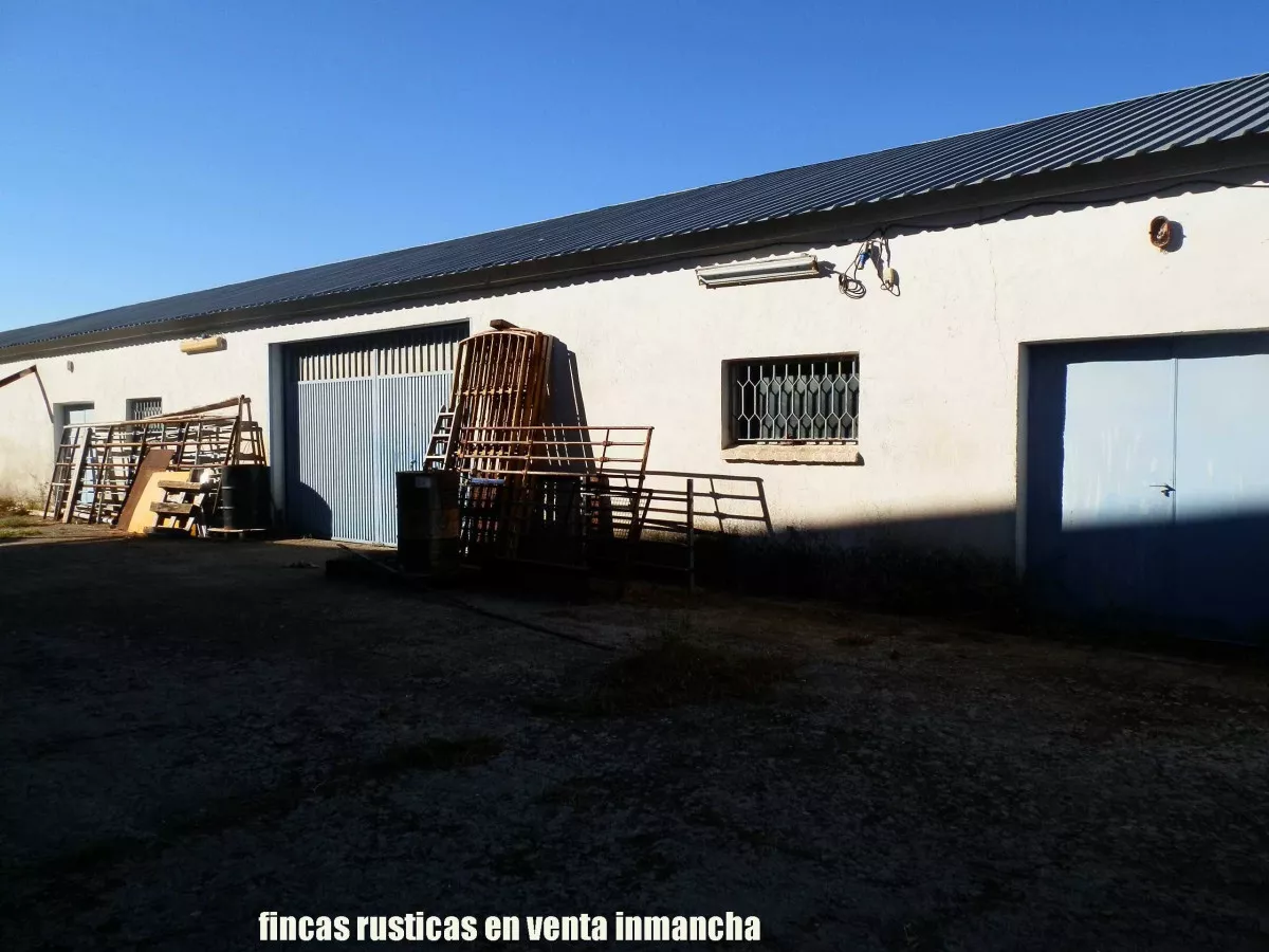 finca en venta 30 has. olivar recreo