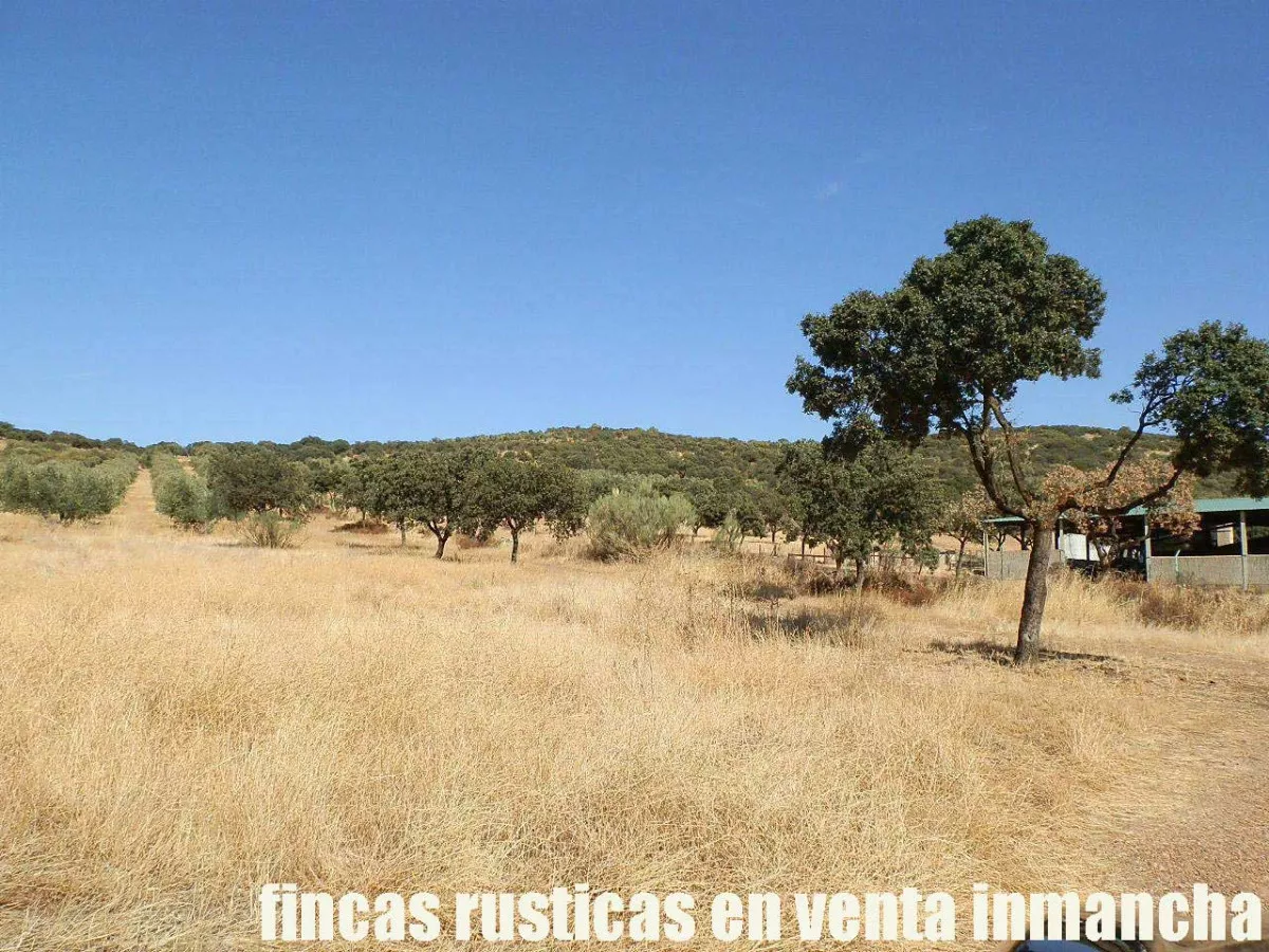 finca venta 140 has. labor secano ganadera 