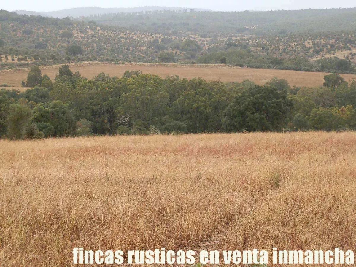 finca en venta 63 has. labor secano caza 