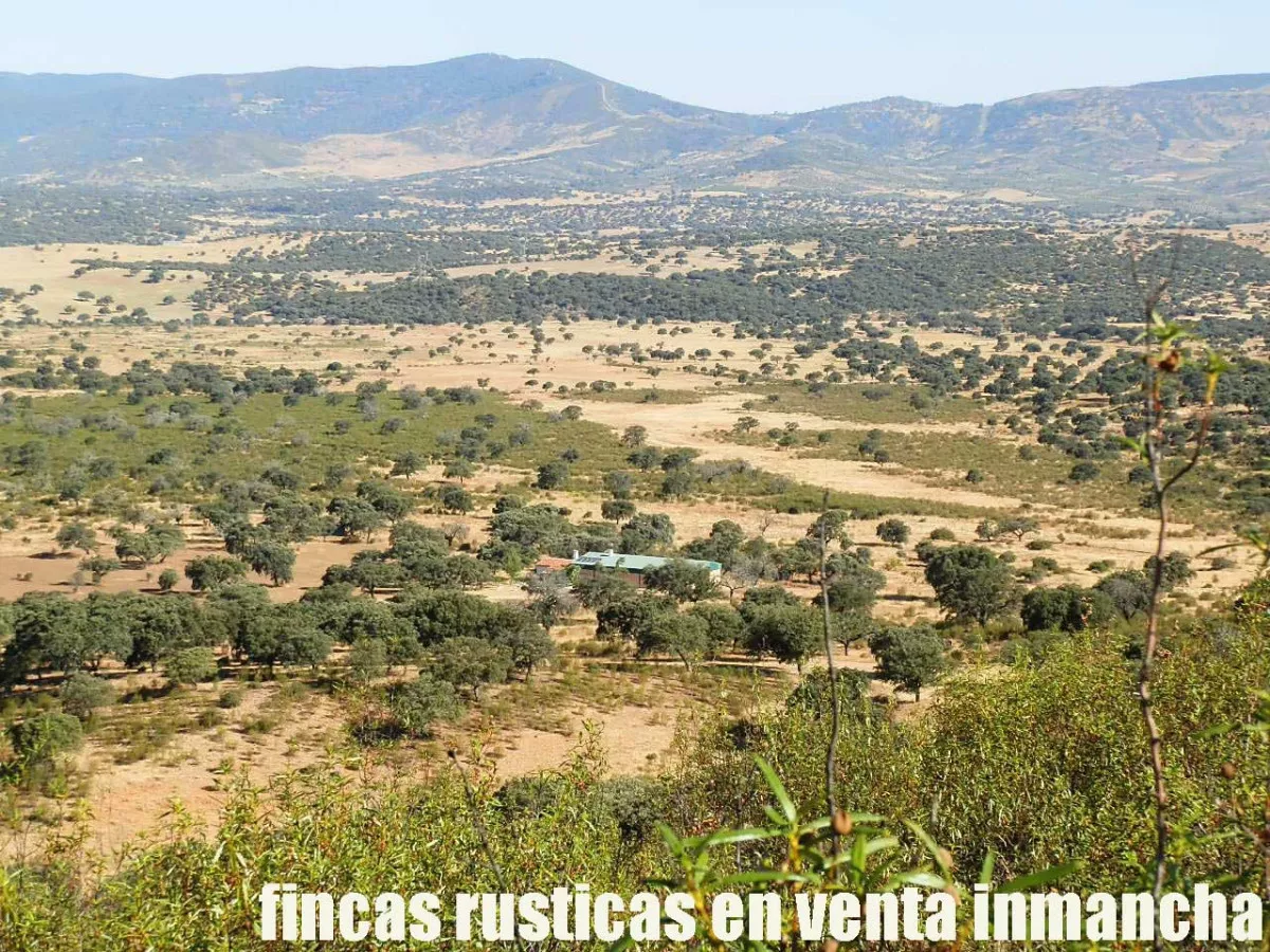 finca en venta 350 has. labor secano caza 