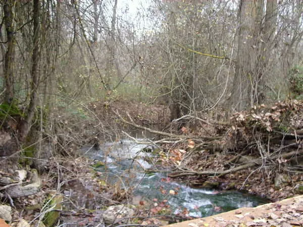 finca en venta 660 has. labor secano caza 