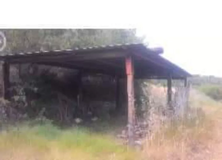 Finca Rústica
