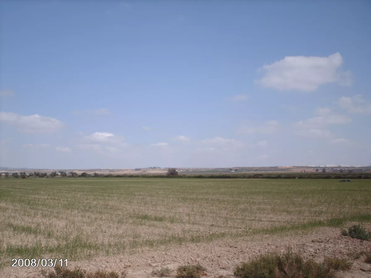 Terreno rustico en Alhama