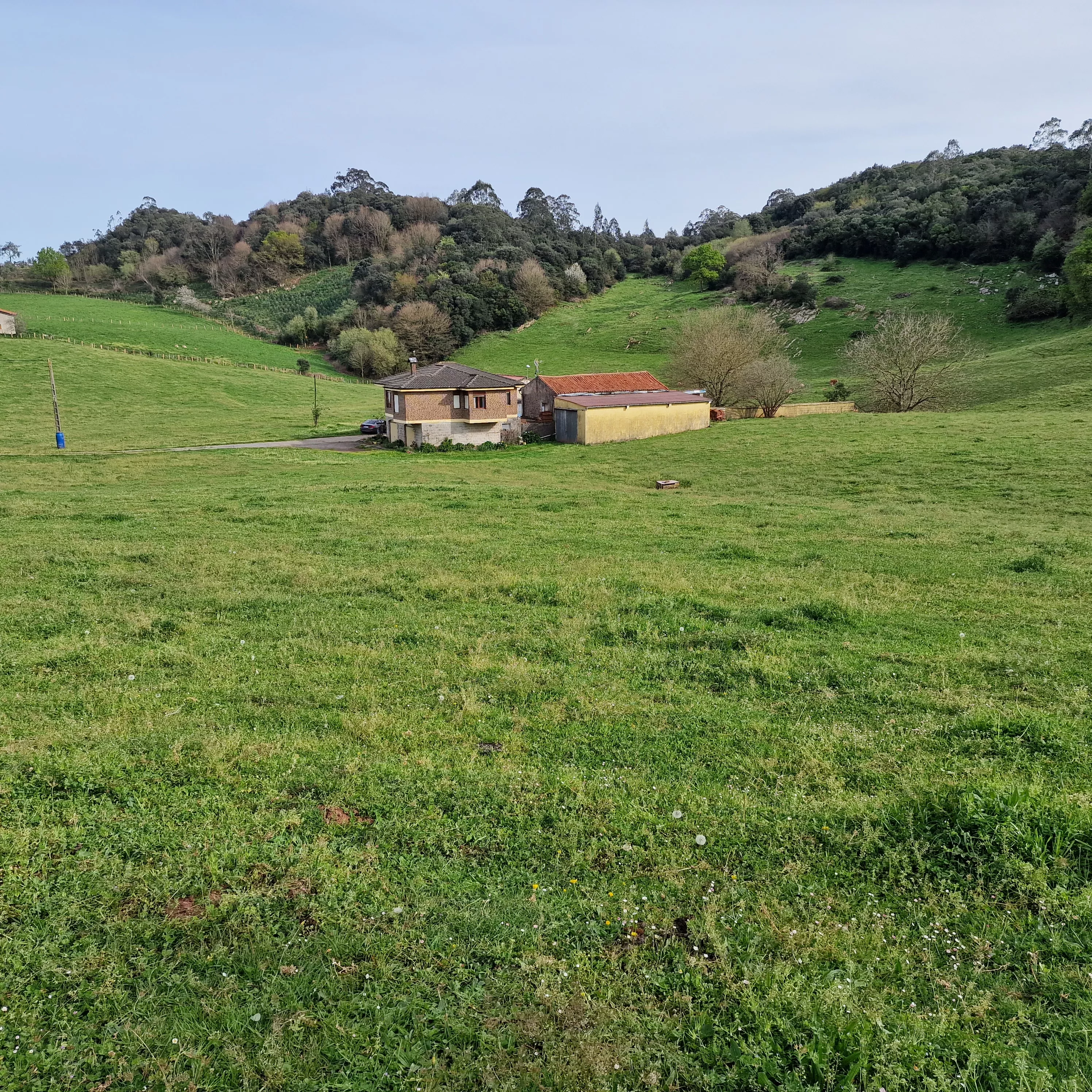 FINCA EN HAZAS DE CESTO