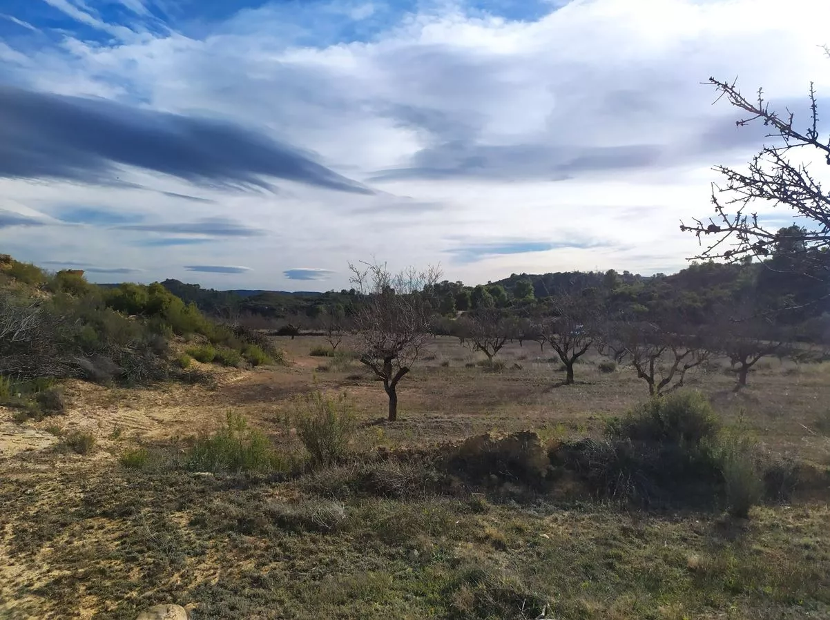 Finca rústica en Maella (Bajo Aragón)