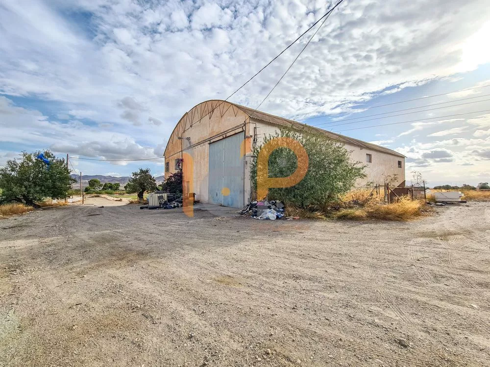 Finca de 6,5ha con nave y casa