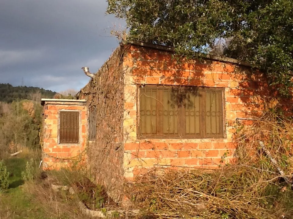 Finca rústica en el Aleixar (Reus, Tarragona)