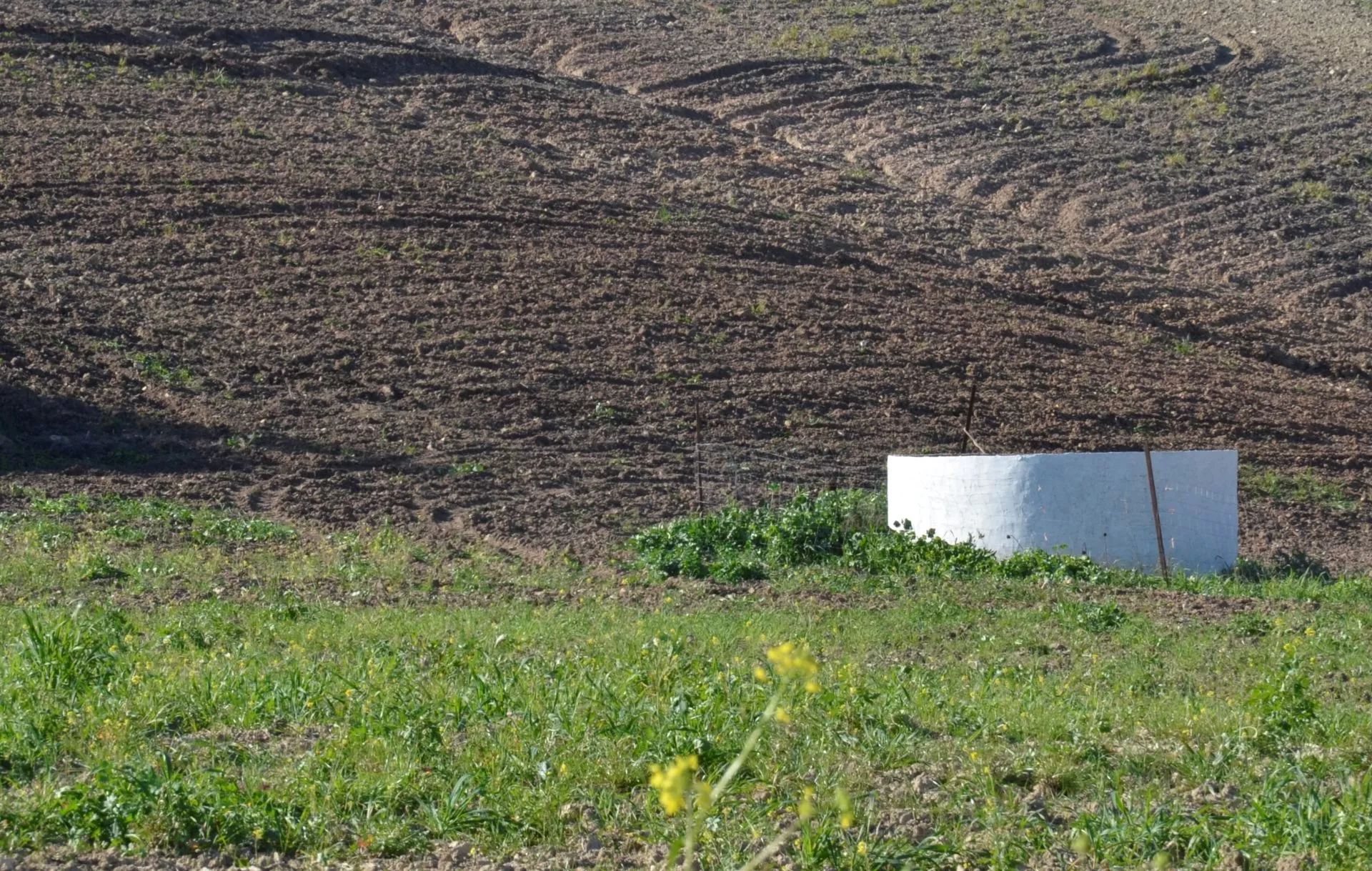 Finca de olivar ecológico en Algodonales | Cádiz | 86 ha