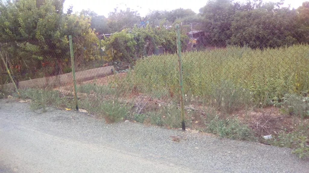 Finca pend. Urbanizar