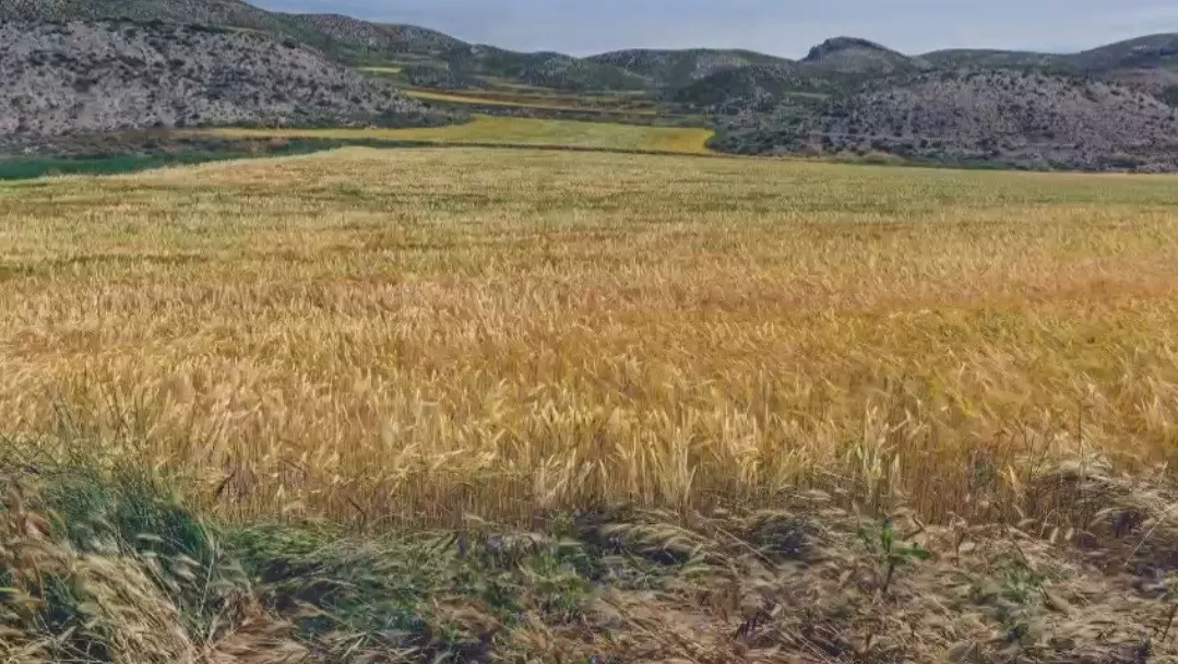 Finca en venta Zaragoza