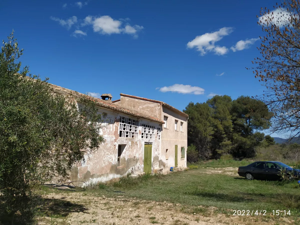 Casa en finca  32 has olivos y viñedos