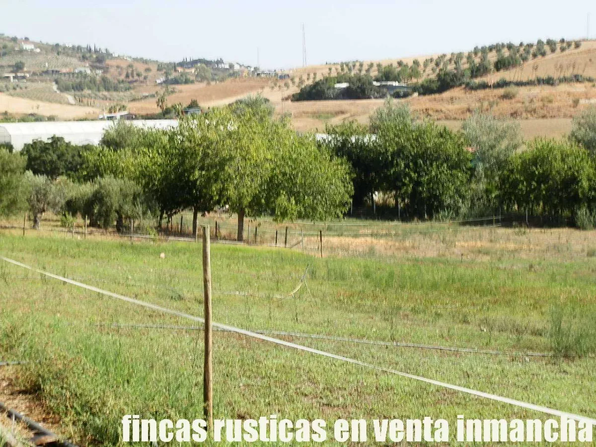 finca en venta inmancha 6 has. para caballos 
