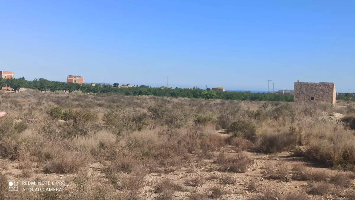 Se venden 2 parcelas rústicas en Agost