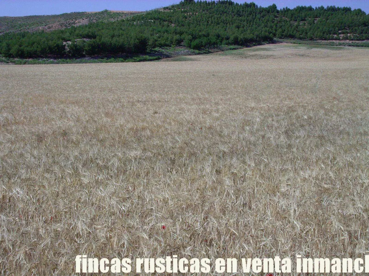 finca venta 256 has. labor secano caza menor