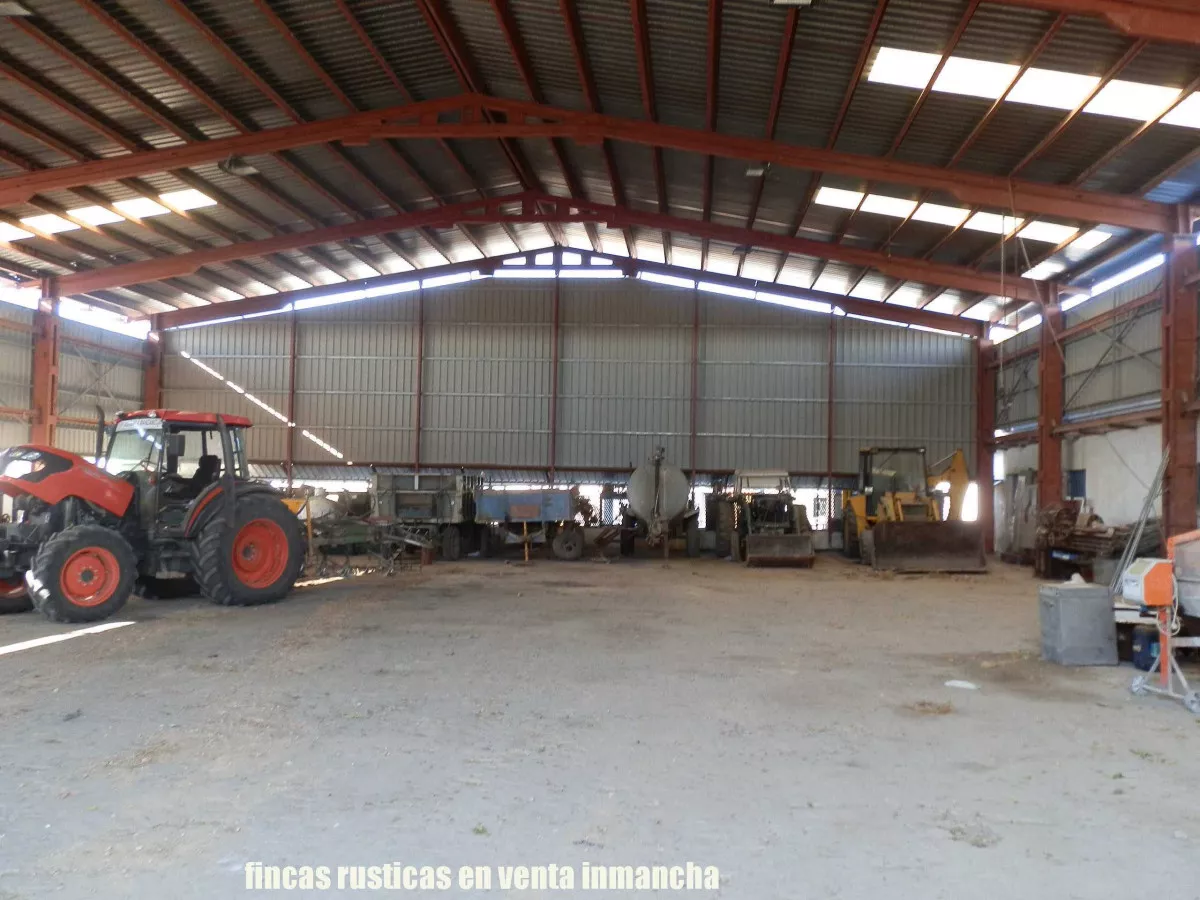 finca en venta 30 has. olivar recreo