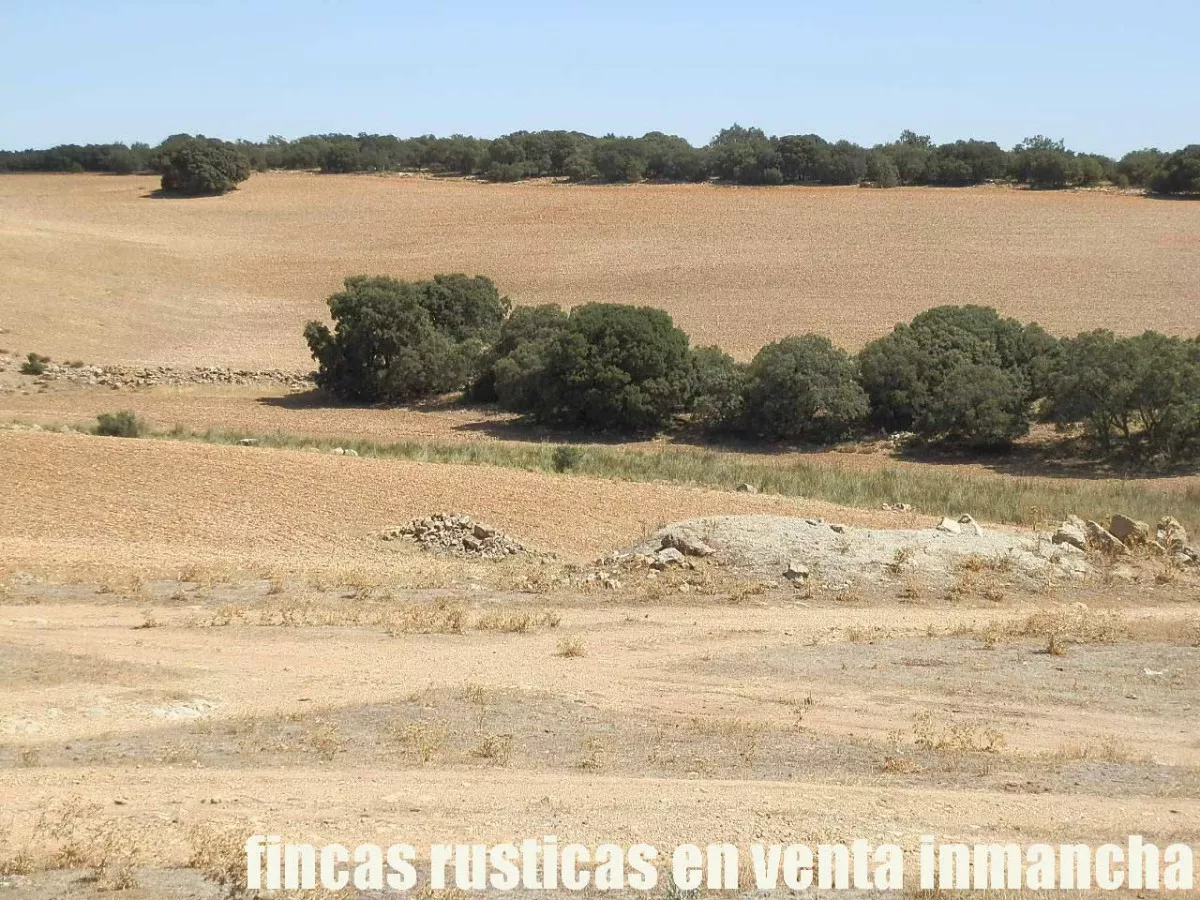 finca en venta 540 has. labor secano caza 