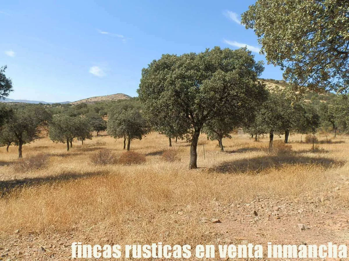 finca venta 140 has. labor secano ganadera 