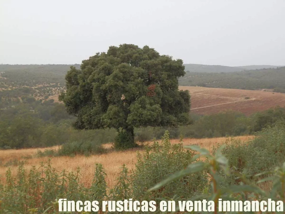 finca en venta 63 has. labor secano caza 