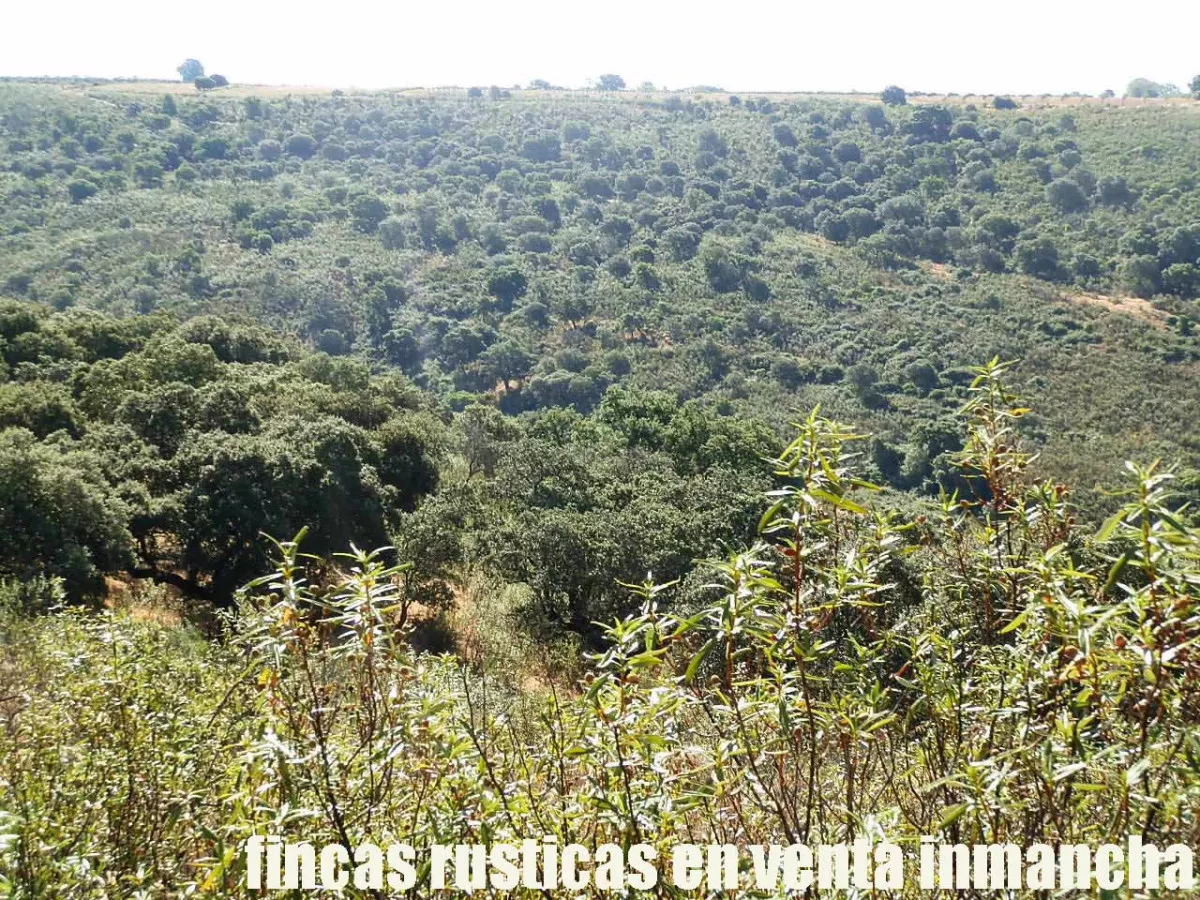 finca en venta 350 has. labor secano caza 
