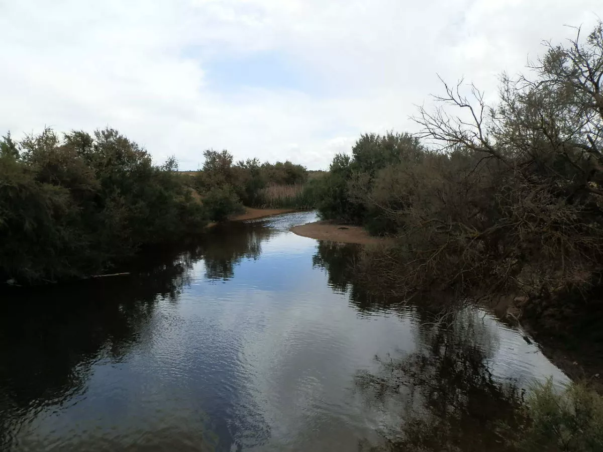 finca en venta 309 has. labor secano caza 