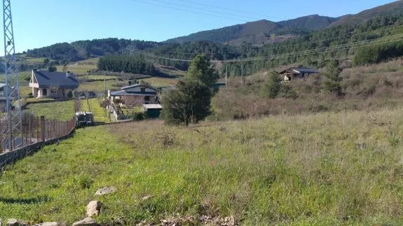 DISFRUTA DEL SILENCIO , ESCUCHA E INTERPRETA 