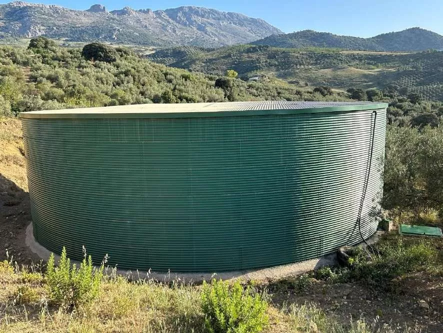 FINCA RUSTICA DE REGADIO OLIVAR ECOLOGICO