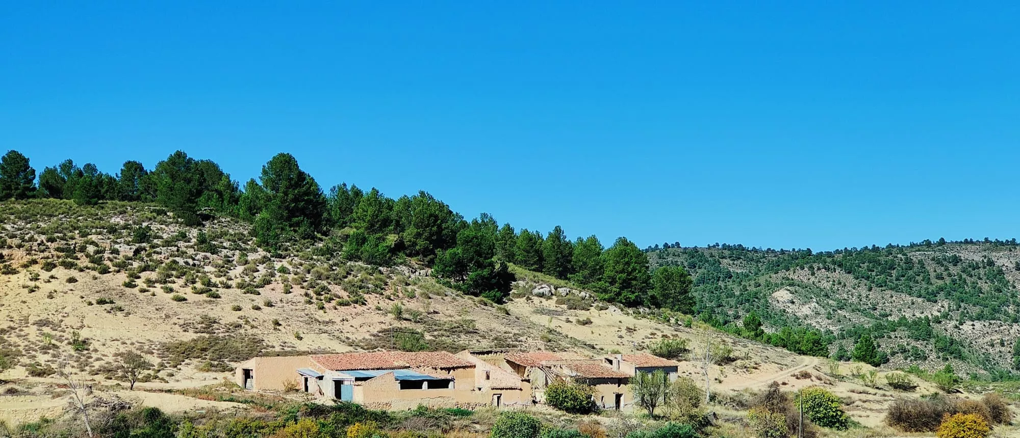 FINCA 191 HECTÁREAS