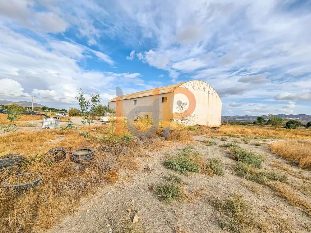 Finca de 6,5ha con nave y casa