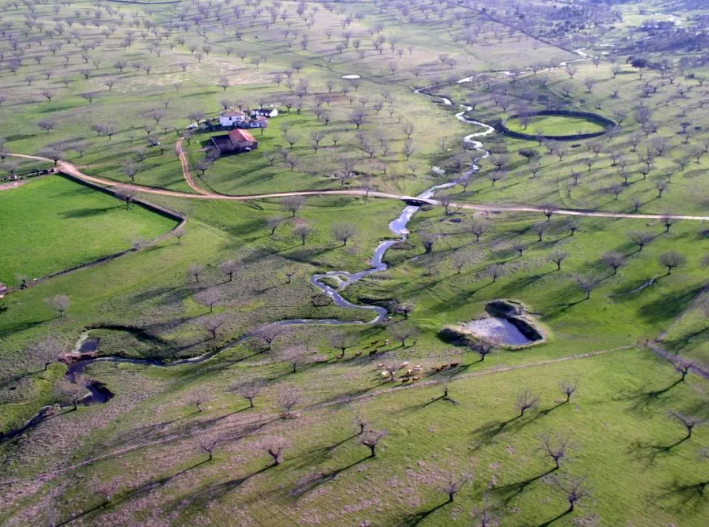 Terreno en venta en Carretera Conquista, km 6