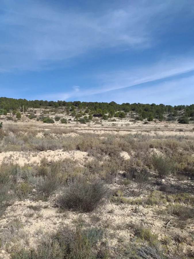 finca secano