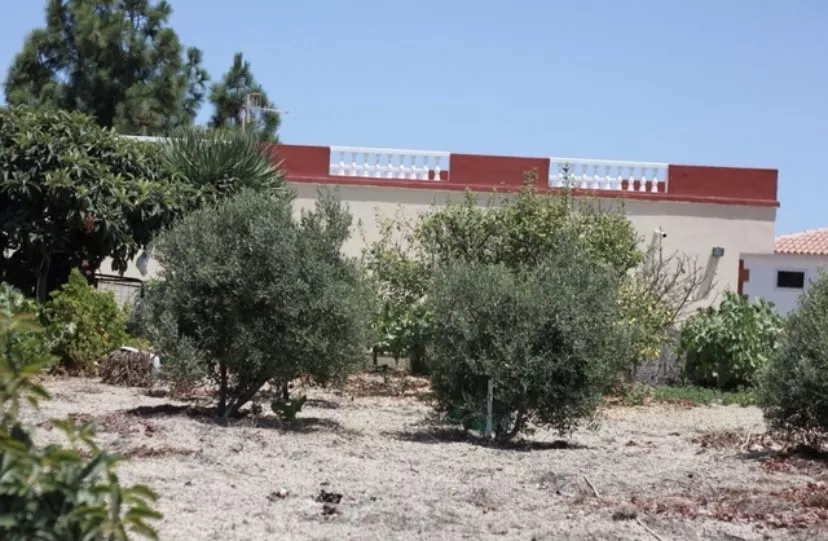 Finca rústica viñedos 11.777 m2