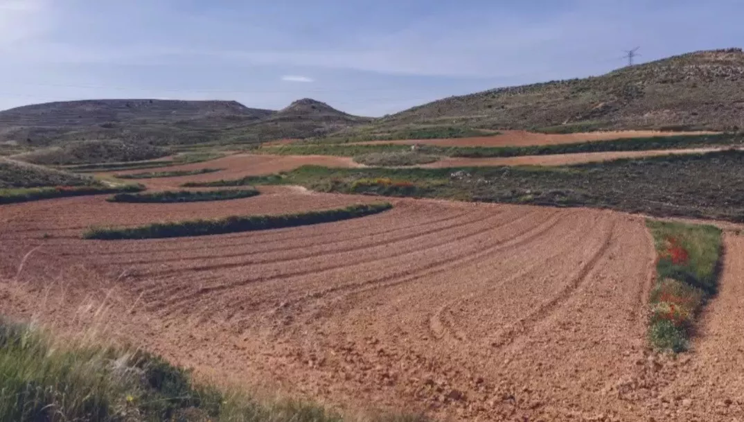 Finca en venta Zaragoza