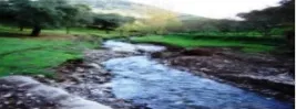 ¡¡¡ FINCA IDEAL PARA MONTAR NEGOCIO RURAL!!!