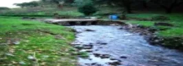 ¡¡¡ FINCA IDEAL PARA MONTAR NEGOCIO RURAL!!!