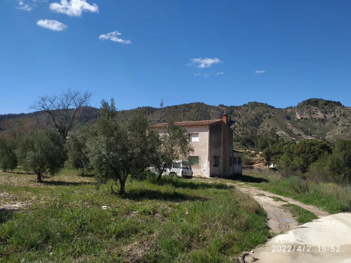 Casa en finca  32 has olivos y viñedos