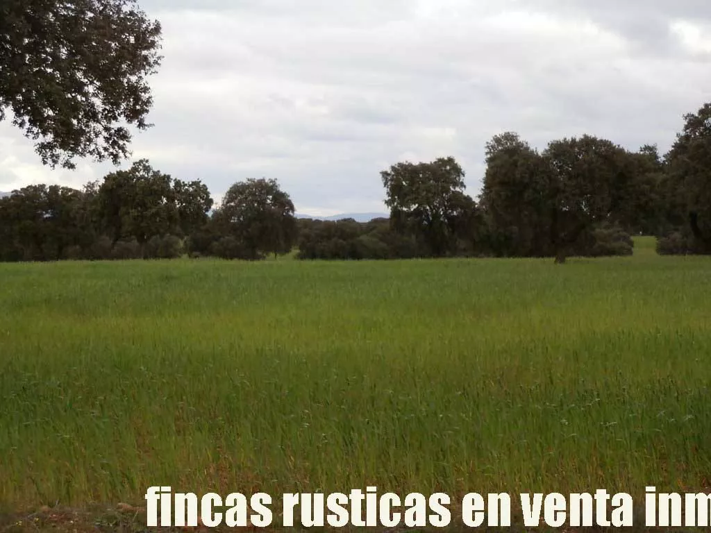 finca en venta 150 has. ganadera en Toledo