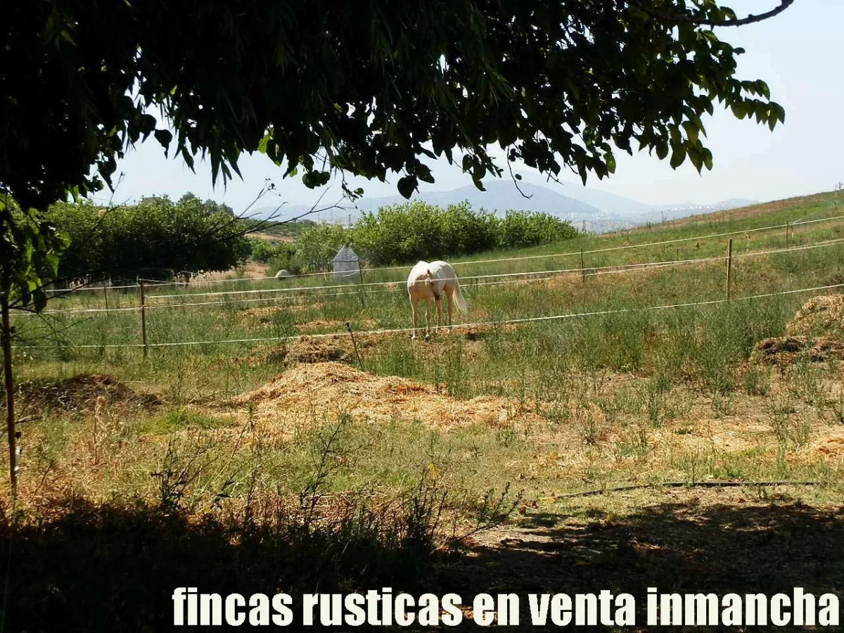 finca en venta inmancha 6 has. para caballos 