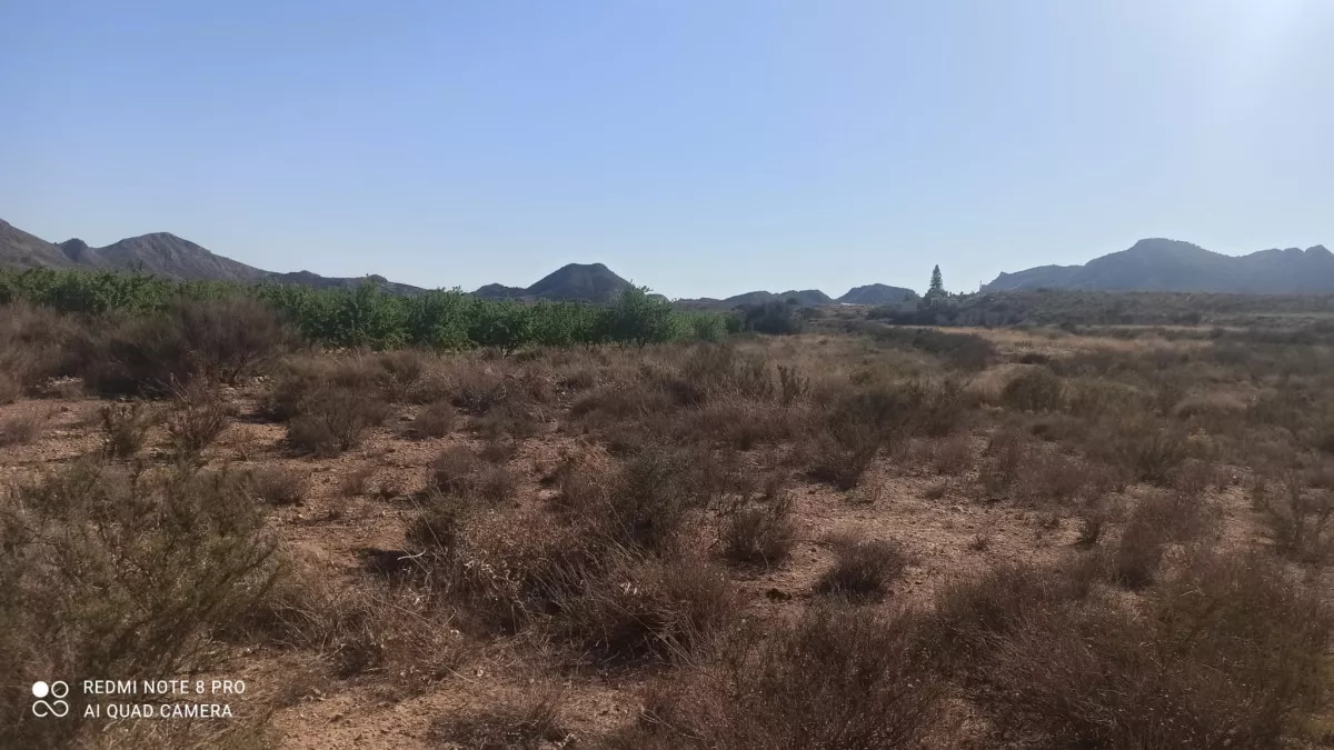Se venden 2 parcelas rústicas en Agost