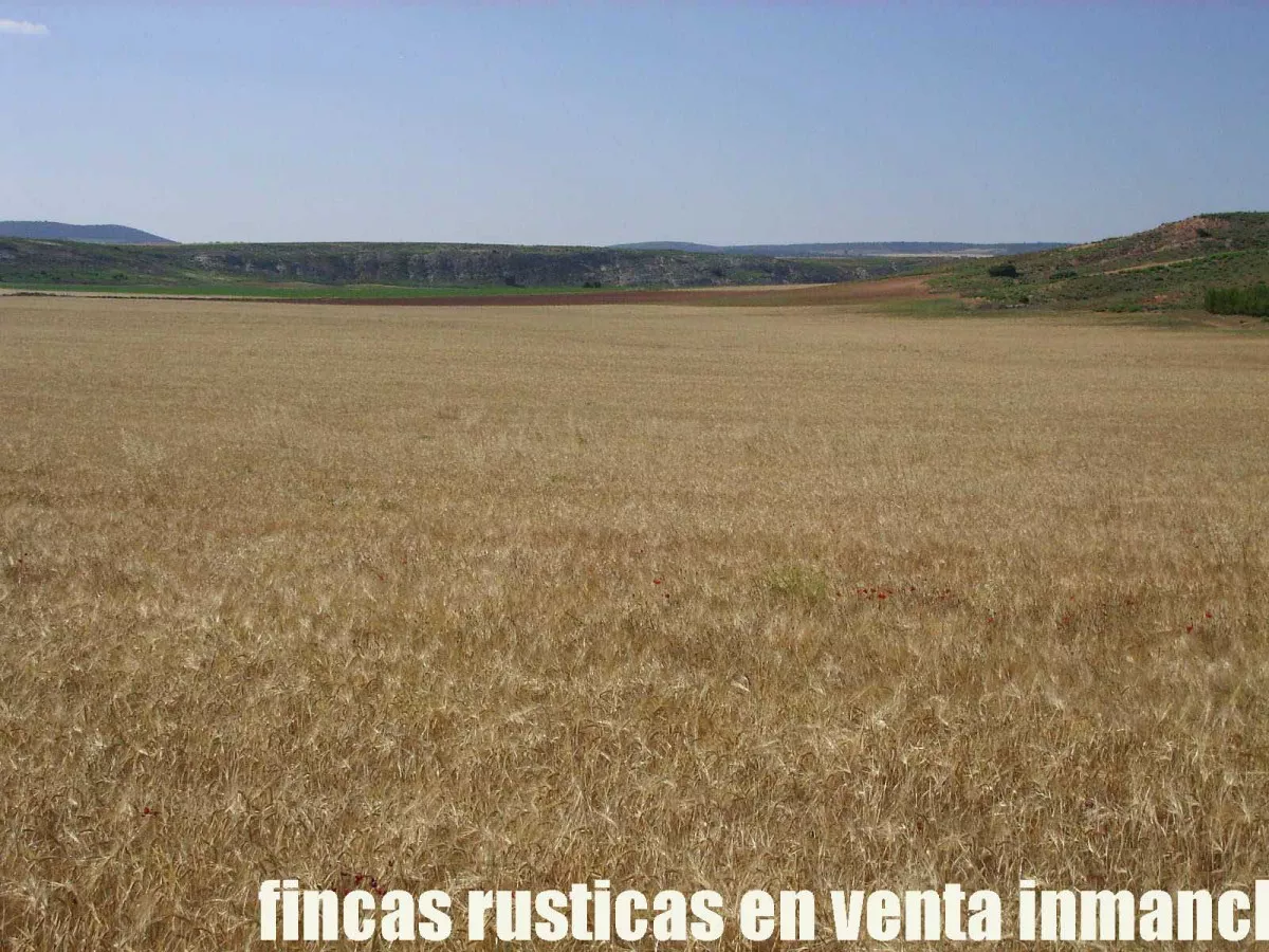 finca venta 256 has. labor secano caza menor