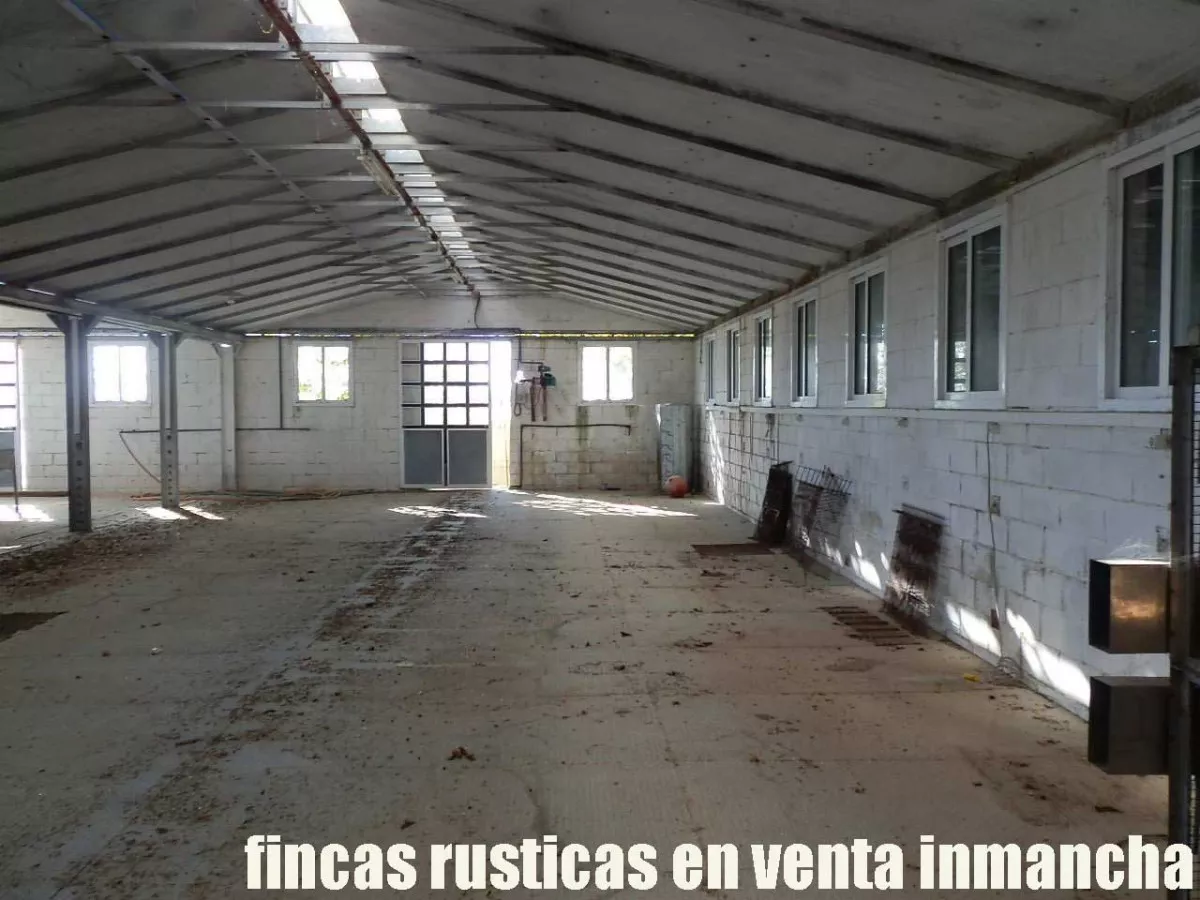 finca en venta 30 has. olivar recreo
