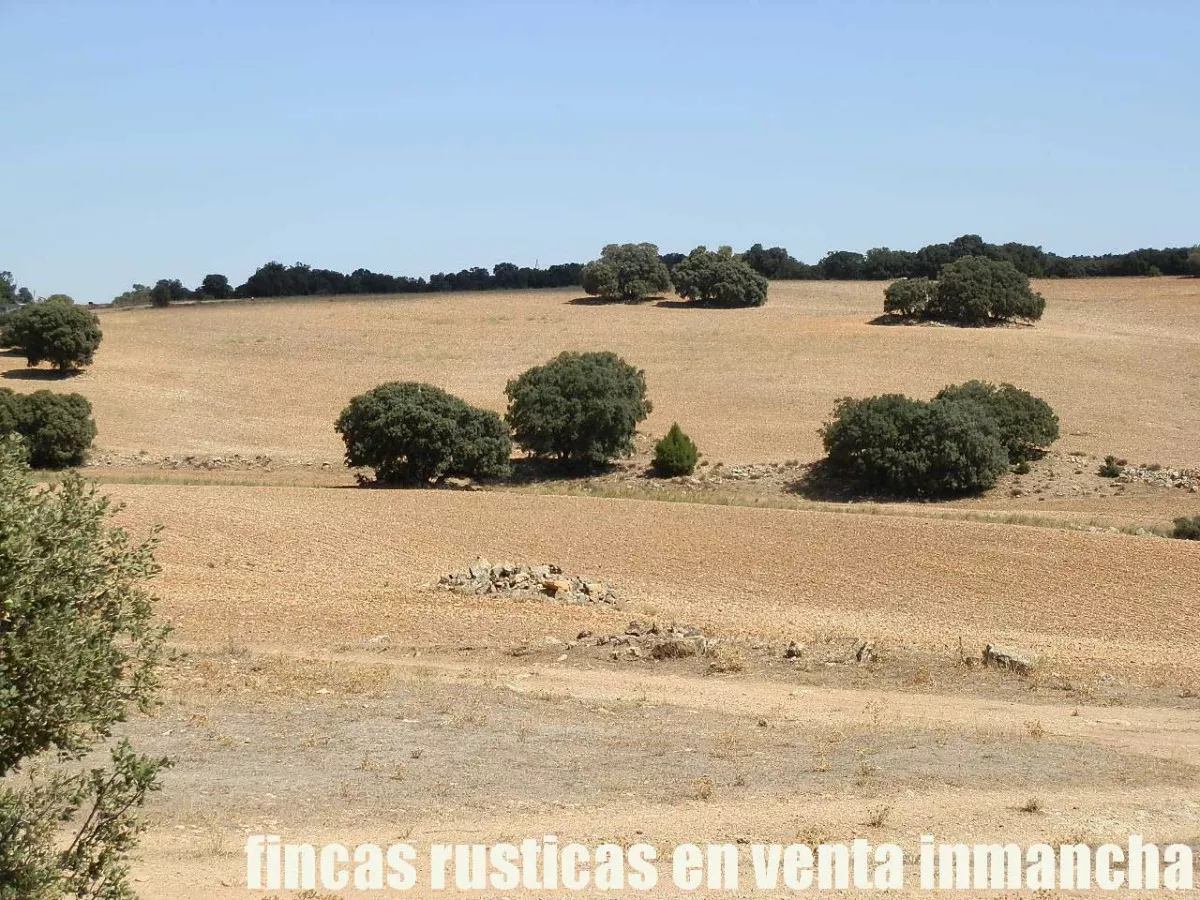 finca en venta 540 has. labor secano caza 