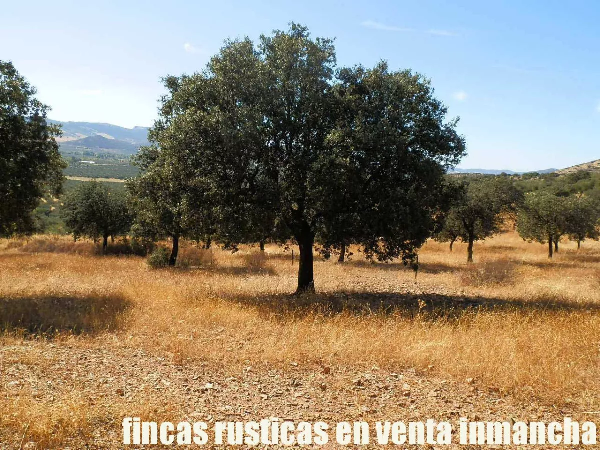 finca venta 140 has. labor secano ganadera 