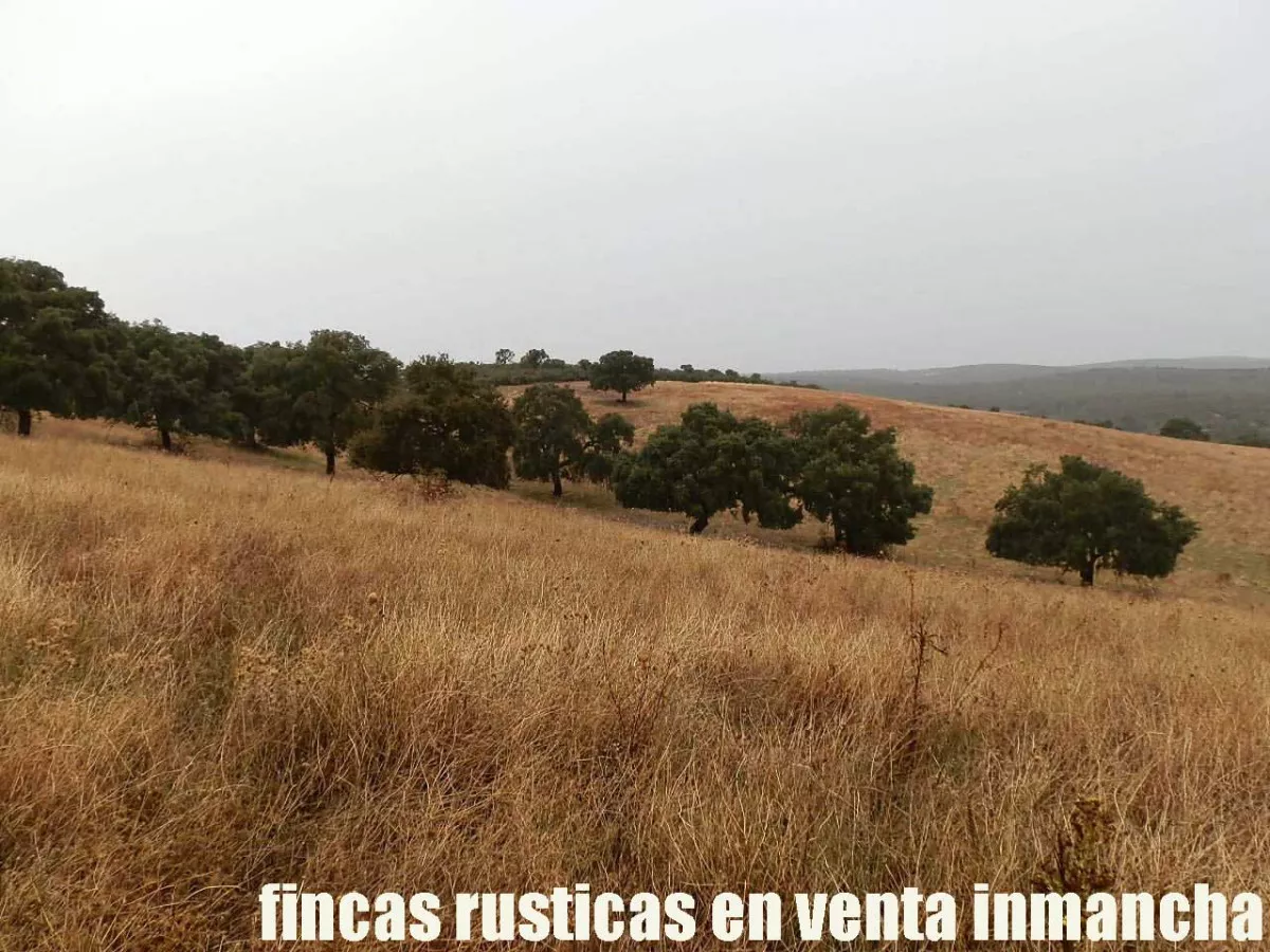 finca en venta 63 has. labor secano caza 