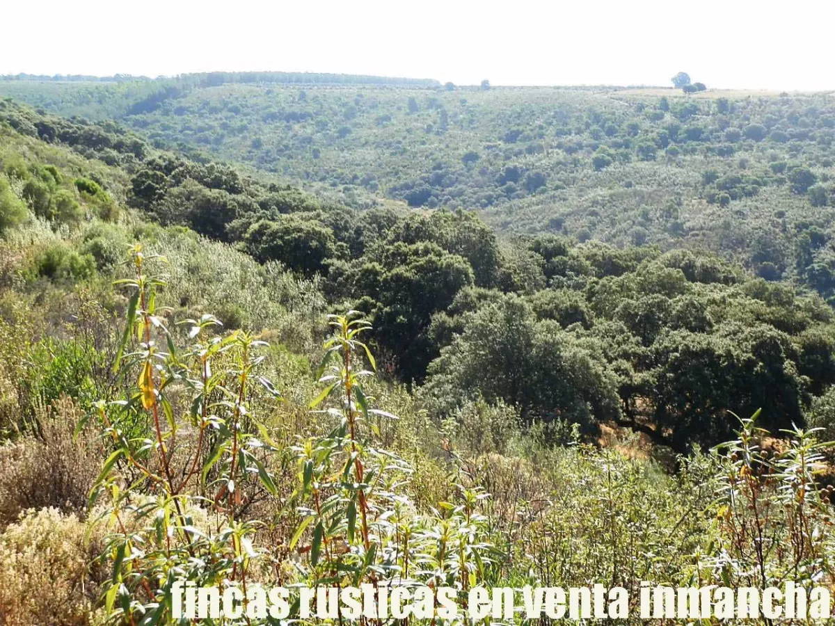 finca en venta 350 has. labor secano caza 