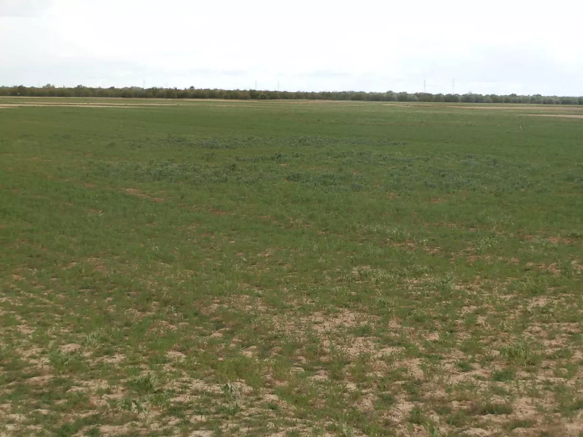 finca en venta 309 has. labor secano caza 