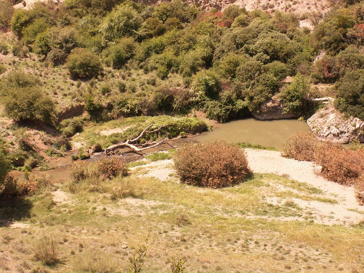 Finca de 20 Has en Villanueva del Rosario