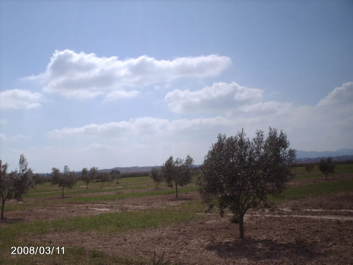 Terreno rustico en Alhama